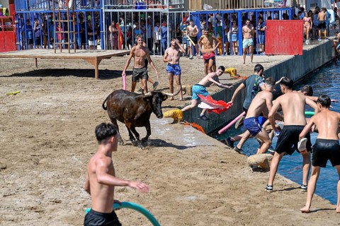 Bous a la Mar Fair, in English Bulls in the Sea, Bullfighting, Javea or Xàbia, Alicante Province,