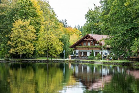 Autumn atmosphere, autumnal trees on Lake Mittersee, in the back forest management on Lake