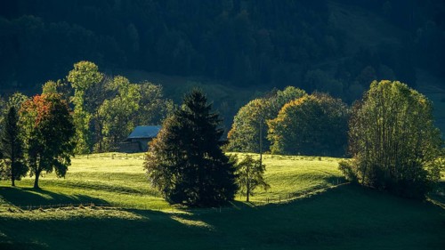 Atmospheric landscape with meadow and trees, near Hinang, Illertal, Oberallgäu, Allgäu, Bavaria,