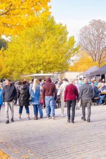 Group of people walking through an autumnal park with yellow deciduous trees, Urschelherbst street