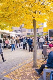 People gather at a street café at an autumn market under yellow trees, Urschelherbst street