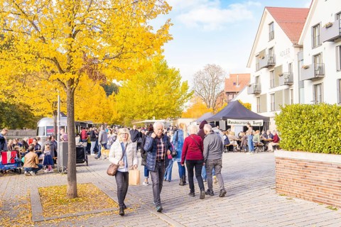 People enjoy an autumn day in a street café under golden trees, Urschelherbst street festival,