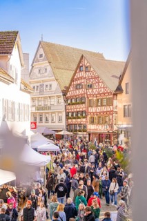 Lively market square in the old town with half-timbered houses in sunny weather, Urschelherbst