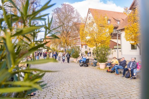People enjoy a quiet autumn day in the park on benches along a paved path, Urschelherbst street