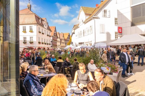 People sit in a street café in an old town under sunny skies. Busyness and convivial atmosphere