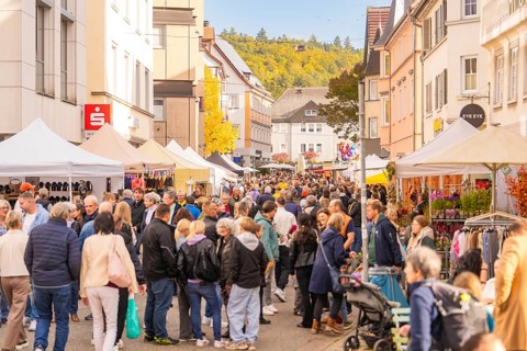 A lively shopping street with market stalls and an autumnal atmosphere, Urschelherbst Street
