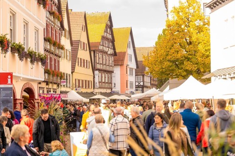 Market visitors stroll between historic buildings and stalls, Urschelherbst Street Festival,