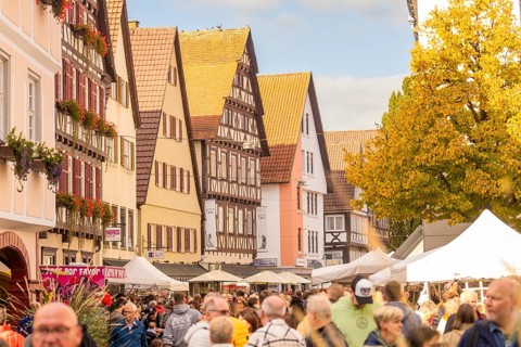 A lively autumn day at a market in front of half-timbered houses full of people, Urschelherbst