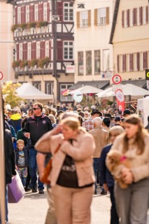 People stroll and shop at a busy market in the old town, Urschelherbst Street Festival, Nagold,