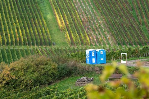Dixi toilets, Toi-Toi toilets in the vineyard in the Ahr Valley, next to a break area, near