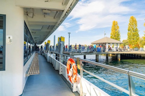 Harbour with people on a sunny day, boats in water, trees in shades of yellow and orange,