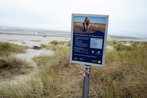 A sign on the beach on the island of Föhr provides information about marine mammal protection in