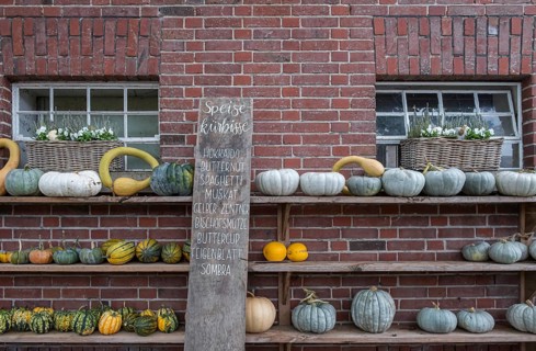 Stable window with floral decoration and pumpkins, North Rhine-Westphalia, Germany