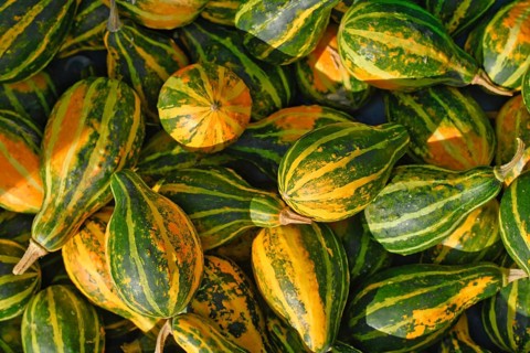 Top view of yellow, orange and green striped ornamental gourds