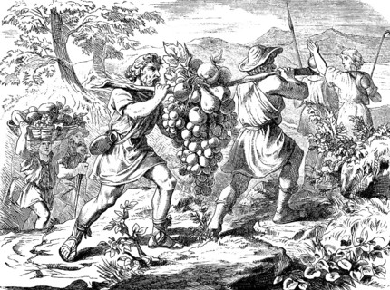 The spies take samples of the fruits of Canaan, God, exploration, brook Estol, vine, figs,