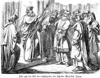 Moses shows the people the sprouting and blossoming almond staff of Aaron, group of men, almond