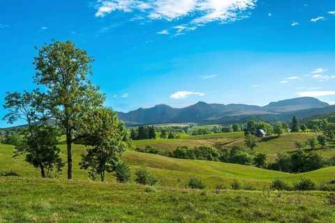 A lone tree stands in a wide green field with mountain views against a bright blue sky, Massif of