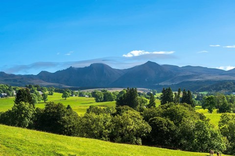 Expansive green fields and trees with mountains in the distance under a clear blue sky, Massif of