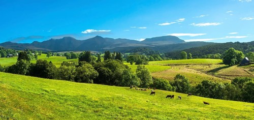 A scenic view of green fields with grazing animals, surrounded by mountains under a clear blue sky,