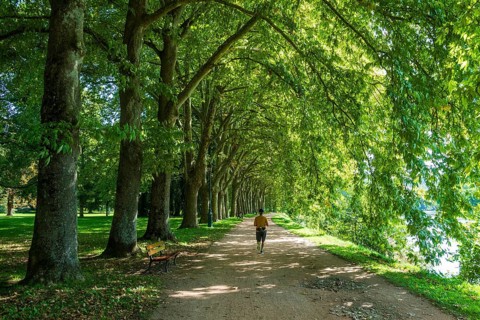 Vichy. Walking through a tree-lined path in a sunny park, riverside Allier on a clear day. Allier.