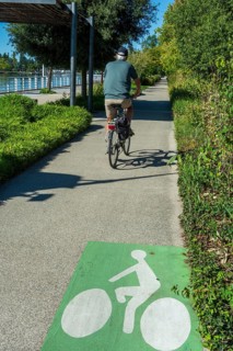 A person rides a bicycle on a smooth pathway lined with trees and shrubs. Vichy. Allier. Auvergne