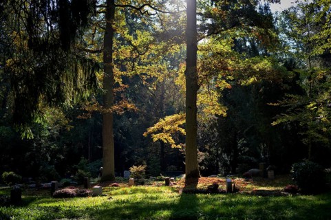 Gravesite, gravestone, graves, forest cemetery, autumn, autumnal, Stuttgart, Baden-Württemberg,