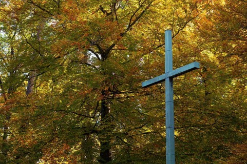 Commemoration of fallen in the First World War, cross, forest cemetery, autumn, autumnal,