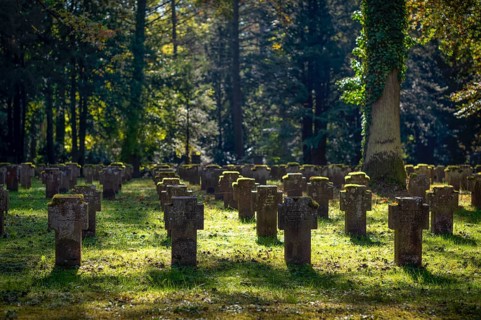 Remembrance of fallen soldiers in the First World War, war graves, graves, forest cemetery, autumn,