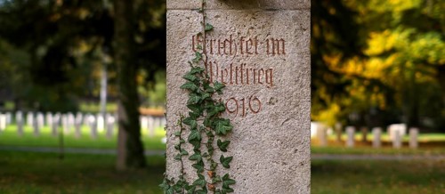 Commemoration of fallen soldiers in the First World War, war graves, graves, forest cemetery, ivy,