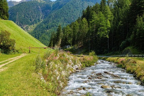 The Horlachbach stream, which plunges into the depths a little later as the Stuibenfall, here in