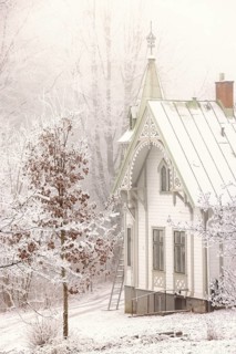 Winter day with snow and hoarfrost on the trees in the garden by an idyllic old beautiful white