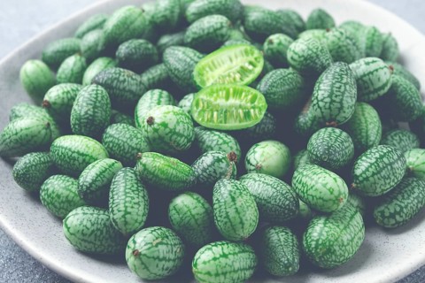 African cucumber, Mexican cucumber, mouse melon, Melothria