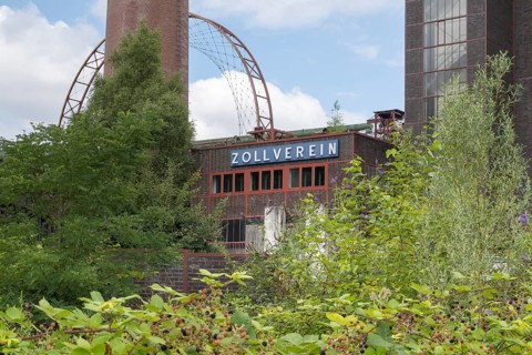 Zollverein coking plant, visitor centre, sun wheel, solar-powered Ferris wheel, blackberry bushes