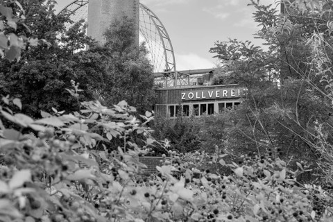 Zollverein coking plant, visitor centre, blackberry bushes in the foreground, sun wheel, black and