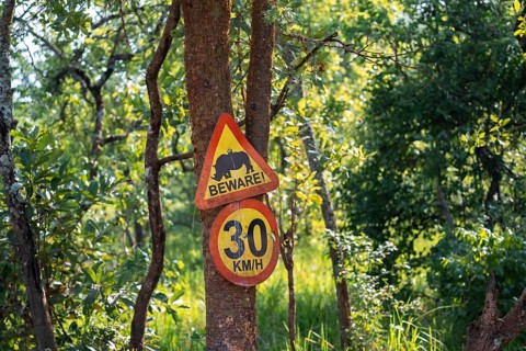 Traffic sign, Attention rhino, Animal welfare, Ziwa Rhino Sanctuary, Uganda