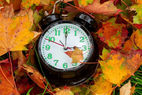 Winter time changeover: close-up of an alarm clock in autumn leaves