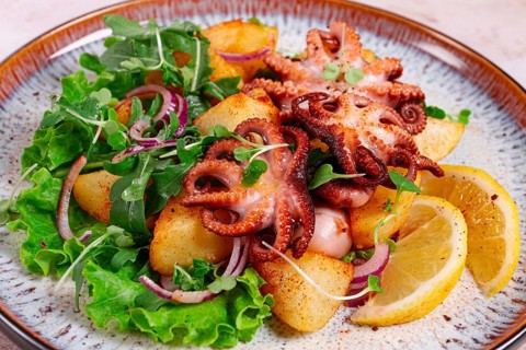 Grilled octopus with baked potatoes and fresh herbs, on a decorative plate, homemade
