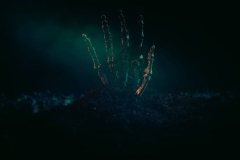 A single skeletonised hand protruding eerily from the dark earth, Halloween