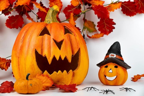 Halloween pumpkins surrounded by autumn leaves and spiders, white background