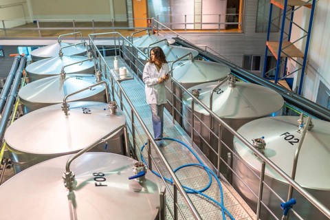 Woman scientist in a lab coat walking on a platform among large industrial fermentation tanks,