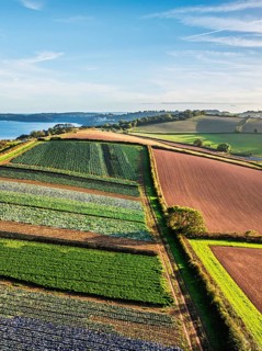 Fields and Farms at evening sun from a drone, Shaldon, Torquay, Devon, England, United Kingdom