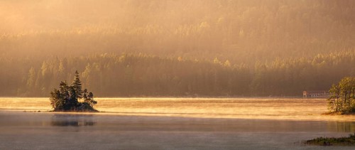 Morning atmosphere at the Eibsee lake, small island in the first light, Grainau near