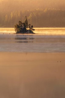 Morning atmosphere at the Eibsee lake, small island in the first light, Grainau near