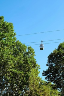 A cable car glides smoothly along rope road, surrounded by vibrant green trees. The clear blue sky