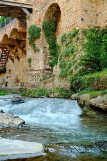 Clear water streaming over smooth stones next to an ancient stone wall adorned with lush plants.
