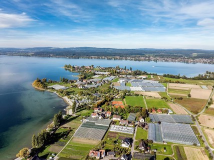 Aerial view of the north-western tip of the island of Reichenau in Lake Constance, with the