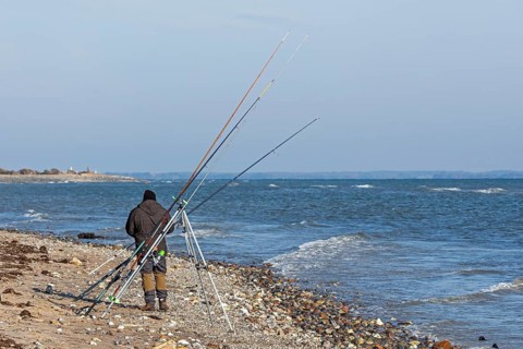Angler, fishing rods, Baltic Sea, Falshöft, Pommerby, Schleswig-Holstein, Germany