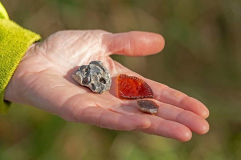 Hand holding flotsam, artefacts, chicken god, sea glass, Geltinger Birk nature reserve, Nieby,