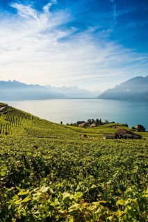 Picturesque village in the vineyards by the lake, Rivaz, Lavaux, UNESCO World Heritage Site, Lake