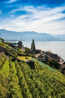 Picturesque village in the vineyards by the lake, Saint-Saphorin, Lavaux, UNESCO World Heritage